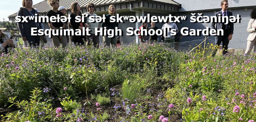 sxʷimeɫəɫ si’səɫ skʷəwlewtxʷ ščəniŋəɫ Esquimalt High School's Garden